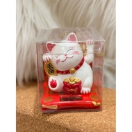 Lucky cat 8cm
