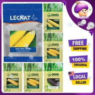 LECKAT 592 JAGUNG SWEET CORN F1 SEED SEEDS BIJI BENIH 500G 玉蜀泰 玉米 种子 GWG FATIMAH G9966 909 907 908 5