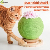 รางบอลไม้-ที่ลับเล็บแมว ของเล่นแมว บอลลับเล็บแมว ที่ฝนเล็บแมว ที่ลับเล็บแมวขนาดเล็ก/ใหญ่ ลูกบอลข่วนเล็บแมว รางบอลของเล่นน้องแมว