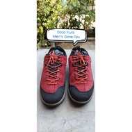 GTX Low Trekking shoes