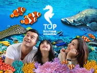 Boutique Aquarium Ticket at The TOP Penang