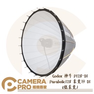 Camera Expert Godox P128-D1 Parabolic128 Soft Gauze D1 Low Light P128-D2