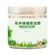 Pupuk Slow Release NPK 15 15 15 Import Berkualitas Premium 350gr