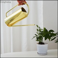 Zone Metal Watering Can 51oz Long Spout Watering  for Balcony Succulents Plant Use