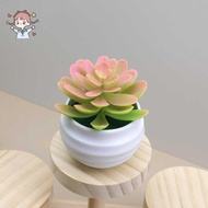 Artificial Succulents Plants in Pots Small Fake Plants for Bedroom Living Room Office Shelf Bathroom
