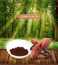 500g Wild Ganoderma Lucidum Reishi Spore Powder Tea – Natural Herbal Lingzhi Mushroom Drink for Immu