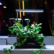 ONF｜Flat Nano 桌上型植物生長燈 水族燈(極簡銀)