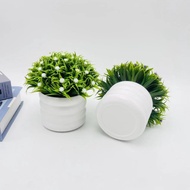 Star Sky Full Sphere Greenery Container With Plastic Material For Indoor Decoration Uses And Photogr