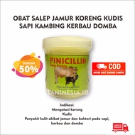 Pinicilin Salep Obat Kudis Scabies Gudik Borok Anti Lalat Sapi Kambing Kelinci Kuda Kerbau Kucing dan Anjing Obat Salep PMK