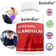 Adrenal Gland Capsules - Positive Mood - Emotional Stress Balance-Energy Balance