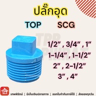 ปลั๊กอุด ปลั๊กอุดเกลียวนอก ปลั๊กอุดPVC ปลั๊กอุดพีวีซี PVC 1/2 3/4 1 1-1/4 1-1/2 2 4หุน 6หุน 1นิ้ว นิ