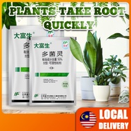 Fungicide for plants Fungicide Carbendazim Pesticide Insecticide Rooting Powder for Plants Racun Ser