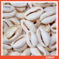 [EY] 100Pcs Shell Cowry with Gap DIY Bracelet Necklace Anklet Ornament Jewelry Decor