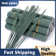 100Pcs 14Gauge Iron Wire Sticks for DIY Floral and Craft Projects, 12Inch