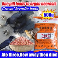 Flew Away,Then Died Bird Bait Killer Racun Burung Crows Favorite Smell Eat One Pill And Die Racun Ga