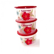 Tupperware Fortune Blooms One Touch (3)