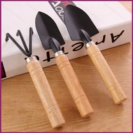 2fy 3PCS/set mini garden tools small shovel rake spade for growing potted plants and flowers