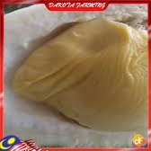 Anak Pokok Durian Asfa50 Pokok Premium Cepat Berbuah