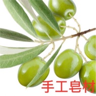 PURE Olive Oil Handmade Soap Olive Oil PURE Olive Oil Virgin Olive Oil