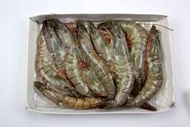 【冷凍蝦蟹類】活凍白蝦(16/20) /約750g~殼薄新鮮~肉嫩味美~鮮甜便宜又好吃~
