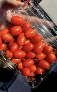 tomat cherry merah segar 200 gr