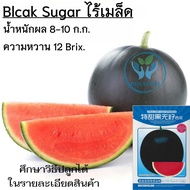 เมล็ดแตงโมดำไร้เมล็ด 30-32 เมล็ด F1***ศึกษาวิธีปลูกได้ที่รายละเอียดสินค้า***Black Sugar ไร้เมล็ด