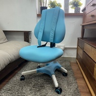 二手人體工學電腦椅-40Wx45Dx88H (cm)