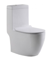 Baron BW818 Rimless Toilet Bowl Washdown Flushing 1-Piece Toilet Bowl with Soft Closing Urea Seat Co
