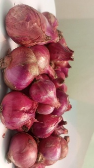 Bawang Merah garut Super 1kg/bawang murah/termurah