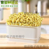 Baki perkecambahan tauge untuk kegunaan rumah, untuk menanam tauge, sayur-sayuran, kacang peas, kaca