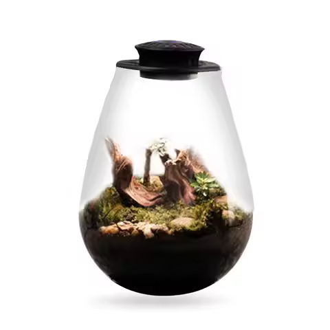 Fern Moss Micro-Landscape Grow Light 6500K Desktop Miniature Plant Light Plant Grow Light for Miniat