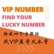 VIP Numbers Find 4 digit 010 011 012 014 016 找幸运号码4个字