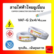 สายไฟ VAF-G ไทยยูเนียน 2x4/4sqmm. ยาว 30 เมตร แบบมีกราวด์ THAI UNION