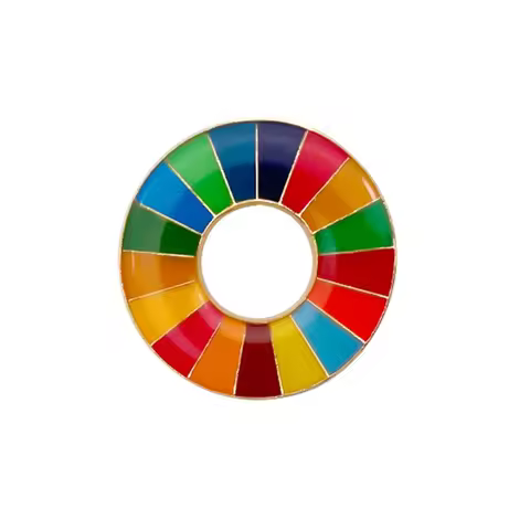 17-color United Nations Sustainable Development Goals Brooch SDGs Pin Badge