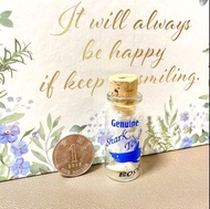 鯊魚牙齒化石 Shark Tooth Fossil #地球日優惠