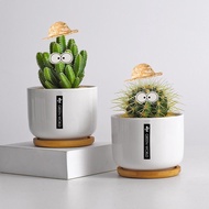 Cactus Potted Plant Indoor Flower Cactus Computer Desktop Green Plant Cute Succulent Plant Bonsai 12