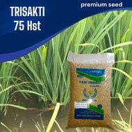Benih Padi bibit padi TRISAKTI Kemasan 5 kg Original terbatas