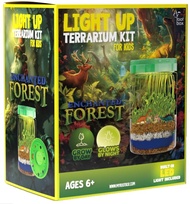 Rootbox Light Up Enchanted Forest Terrarium Kit for Kids - Dinosaur, Gnome and Deer Terrarium Kit fo