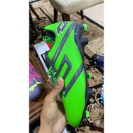 Lotto Maestro 300 iv