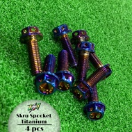 Skru Hub Spoket Size 12 M8x25mm
