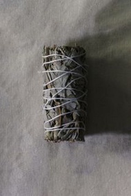 白色鼠尾草white sage