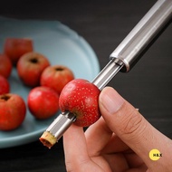 H&X Fruit Corer Stainless Steel Home Tool for Red Dates Pear, Cool Kitchen Gadget
