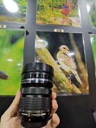 olympus 7-14mm f2.8 pro 7-14  適用於  OM-D EM1 III EM1X 等等..