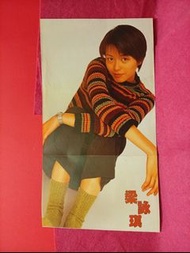 梁詠琪 🐠 許冠傑 拉頁海報 一張 🌺 雜誌彩頁  🦓 A5 SIZE  🌺  風鈴草22