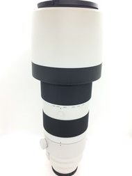 Sony 200-600mm G OSS