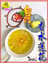 香水蓮花茶 白河香水蓮花 香水蓮花 白河蓮花茶 花茶 供佛 料理 泡茶 蓮花茶【啟陞食品】–【湖廣藥材】迪化街一段74號