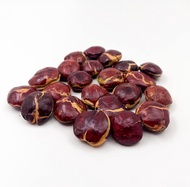 TERMURAH - JENGKOL TUA FRES LEGIT DAN PULEN BERAT 100 GRAM SAMPAI 1 KG / JENGKOL TUA TERMURAH / JENG