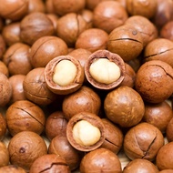 500g Macadamia Nuts Clean Agricultural Products Di Linh Lam Dong Medium Size Clean Agricultural Prod