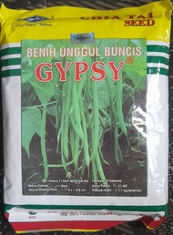 Repack Benih Buncis Perdu GYPSY (tidak merambat)
