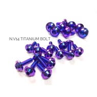 Ninja RR OLD TITANIUM BODY Bolt